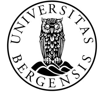 bergen_logo